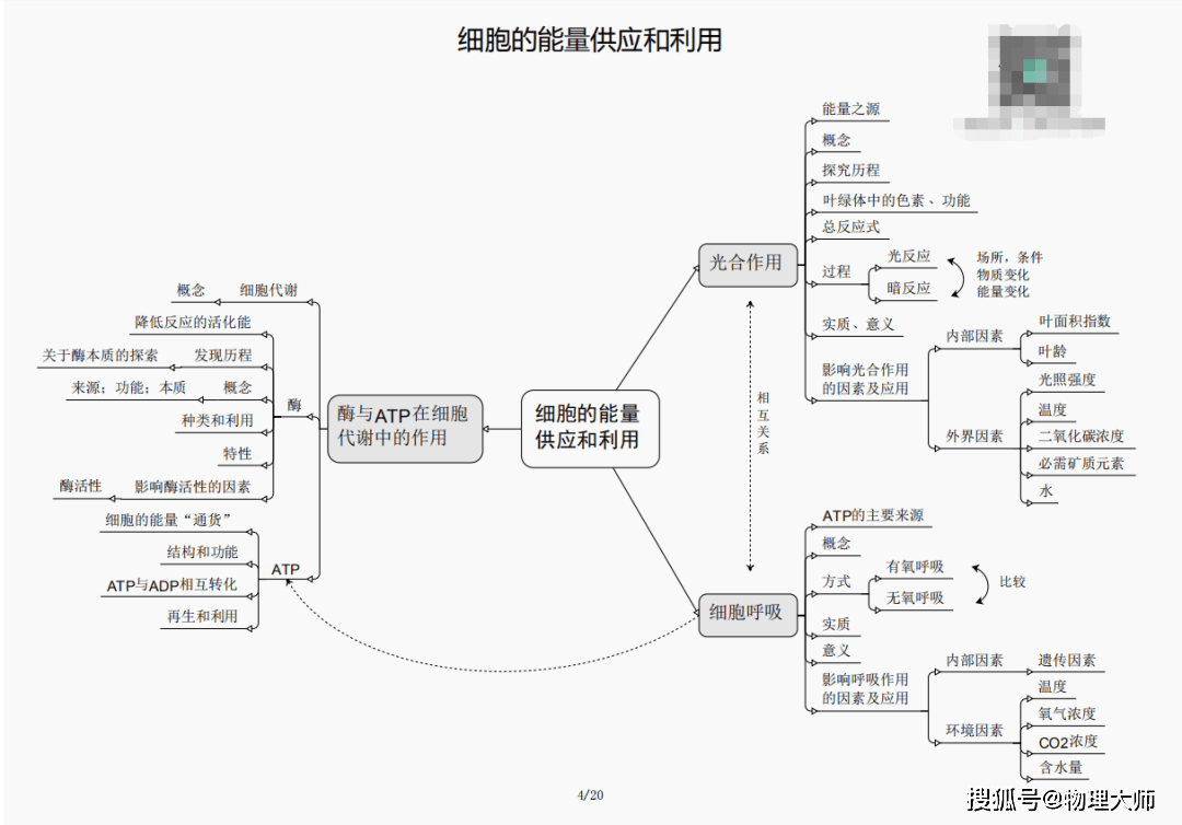 孤狼的吼声